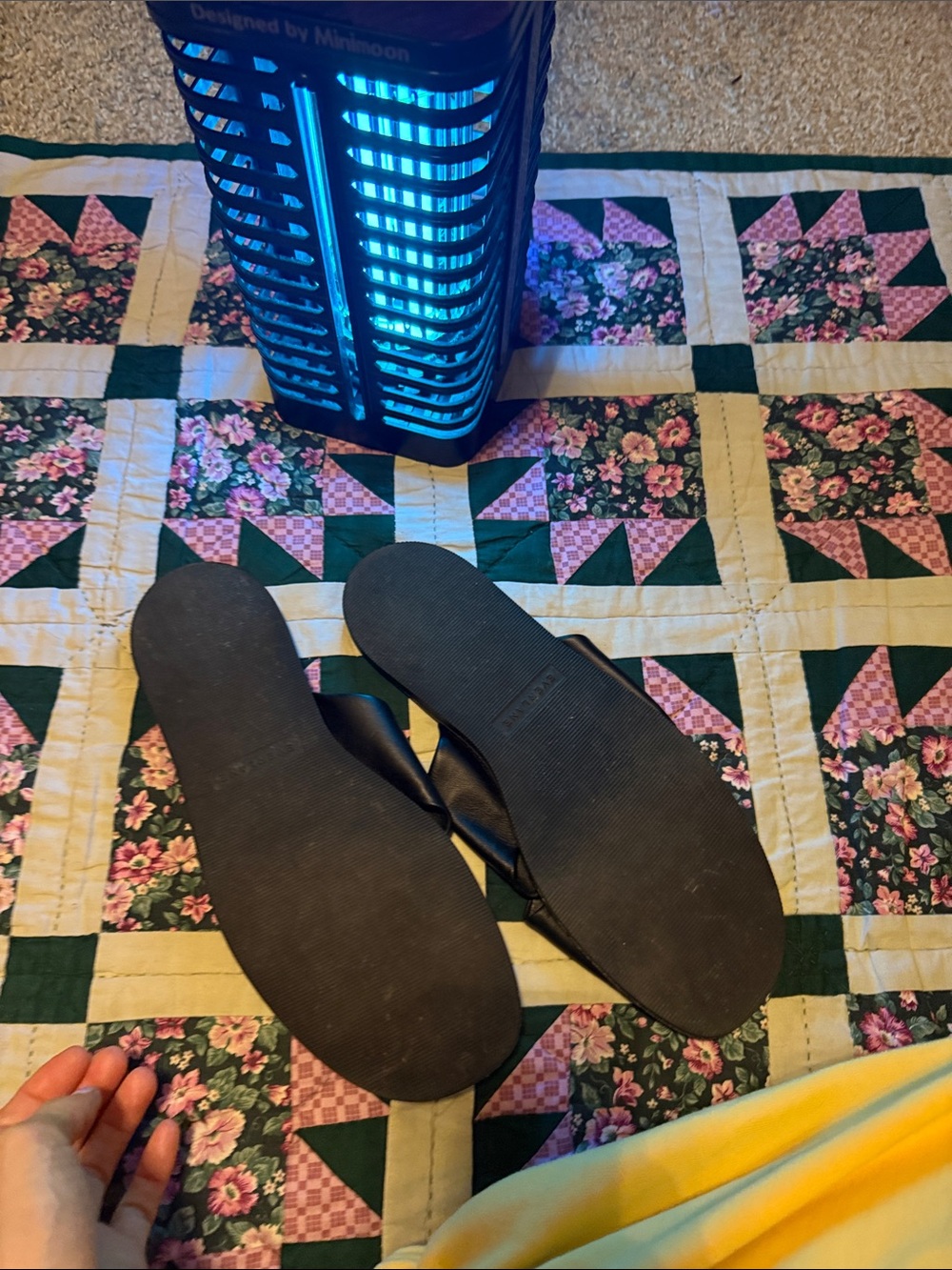 Everlane Black Leather Cross-Band Slide Mules - Picture 6 of 9